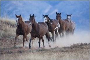 1317061142_42_HideoutDarrell0005