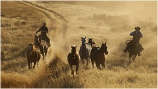 1317061324_23_HideoutDarrell0072