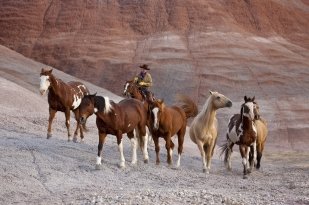 1317061338_25_hideout0027