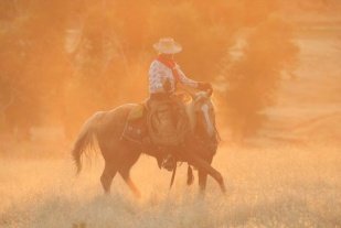 marijn on paint correct figure