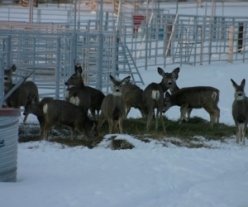 thumbs_a9b9b0cae_img_0736