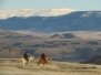 Riding scenery in The Trapper Creek Ranch area