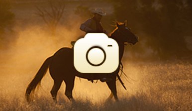 Photo Gallery Photo Gallery