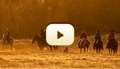 Video Gallery Video Gallery