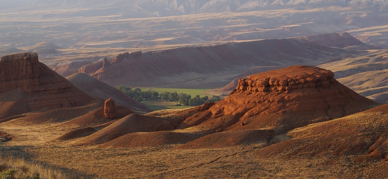 baneer7-ahhorsemanship